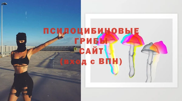 первитин Краснослободск
