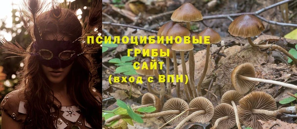 сатива Краснотурьинск