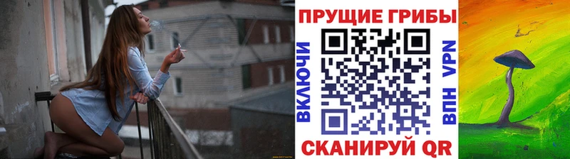 МЕГА маркетплейс  Ливны  Псилоцибиновые грибы мухоморы 